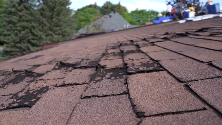 Best Gutter Installation and Repair  in Wauconda, IL