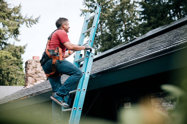 Best 4 Ply Roofing  in Wauconda, IL