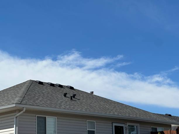 Best Hot Roofs  in Wauconda, IL